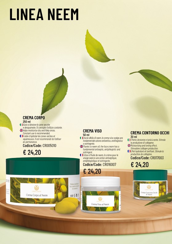 Catalog Page 31